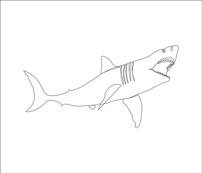 sark one line art color line art continuous line continuous line art fish drawing fish drawing for kids graphic design illustration illustrator design logo minimalist line art one line art one line drawing portrait art shark drawing