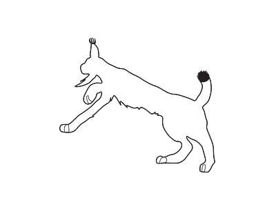 Lynx Line Art adobe illustrator book branding cat design digital art endangered feature graphic illustration line art logo lynx