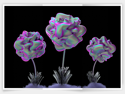 flowers 3d branding cinema4d design flowers illustraion illustration minimalism octane