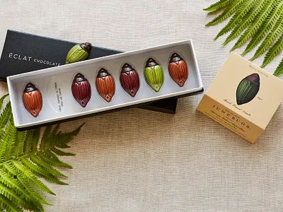 June Bugs 1 bugs chocolate embossed packaging typography