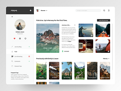 Roam. Dashboard draft. blog dashboard design dribbble figma grid photography photoshop travel ui