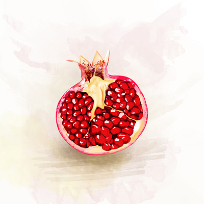 Pomegranade.. design design art draw drawing drawingart fruit fruit art fruit illustration illustration pomegranate vector