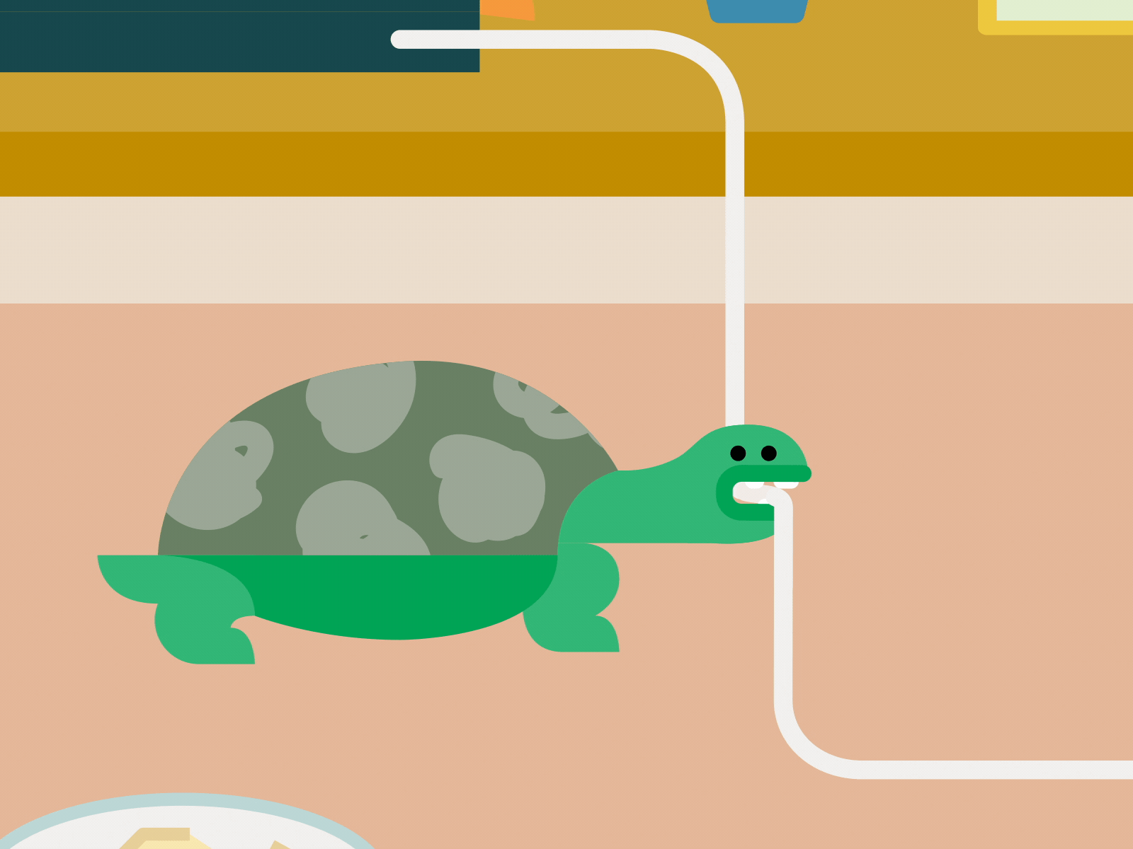 Turtle 2d after effects animation character animation fire gif illustration loop motion motion design motion graphics turtle