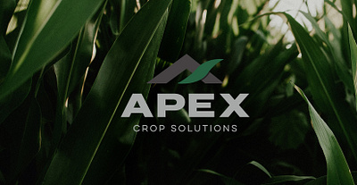 Apex Crop Solutions Logo agriculture branding logo typogaphy