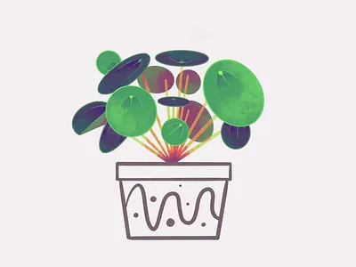 Chinese Money Plant botanical chinese money plant digital art illustration illustrations leaf leaves plant plants procreate texture