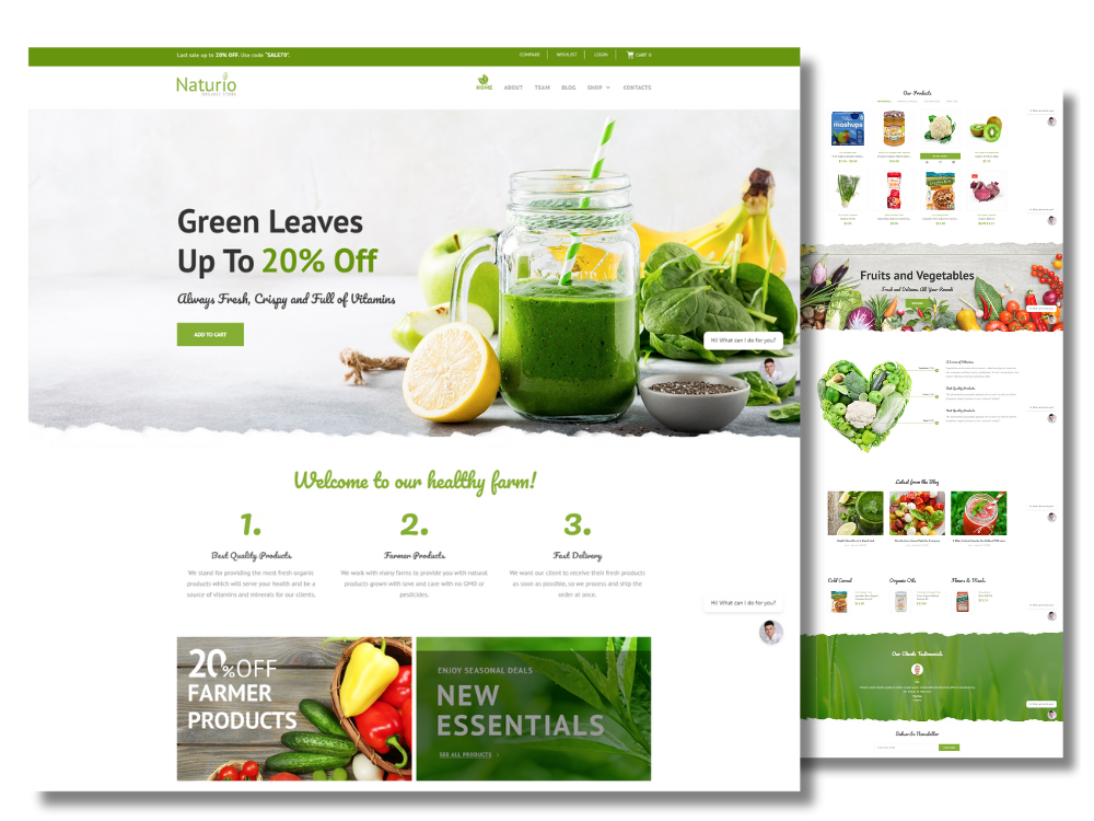 Example of Shopify Store Developer