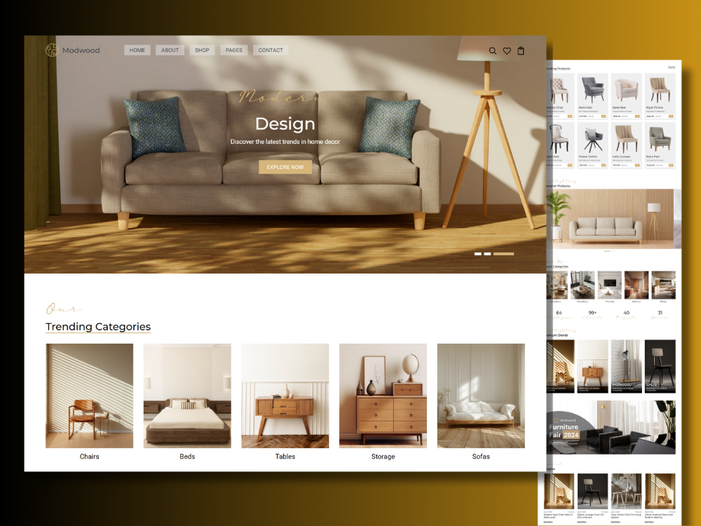 Example of Shopify Store Developer