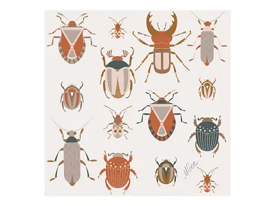 Beetles collection artwork beetle brown bug collection design earth flat geometric illustration insect minimal natural nature stag beetle vector
