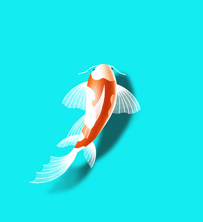 Koi apple illustration illustrator procreate procreateapp tutorial