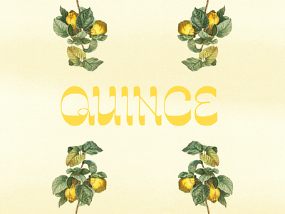 QUINCE Font Preview branding display font display type display typeface font design logo design new font type design typeface typography work in progress