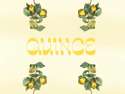 QUINCE Font Preview branding display font display type display typeface font design logo design new font type design typeface typography work in progress