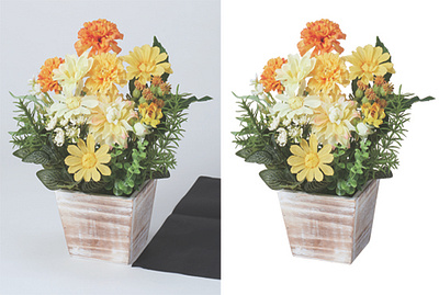 background removal 1 background remove clipping path clipping path service neck joynt white background