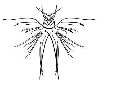Bufant Duelist Half Wing art bufant tradition dark design illustration linear wingmaker