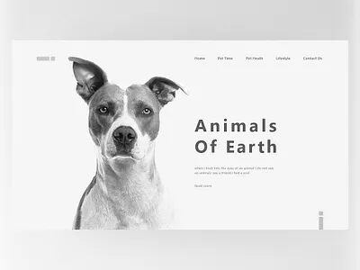 landing page design illustration minimal typography ui web website