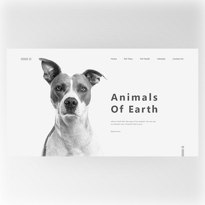 landing page design illustration minimal typography ui web website