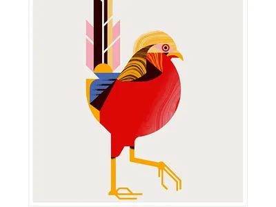 golden pheasant animal bird character design eye feather fly geometric illustration red texture vector