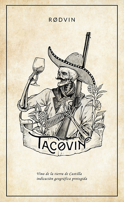 Illustrations done for Tacovin adobe indesign graphic design hand draw illustration vector