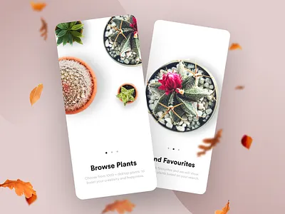Intro Screens for Plant Shopping App clean design interaction intro screen manoj bhadana onboarding plants app plantshop ui ux