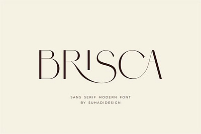 Brisca font classy sans serif serif