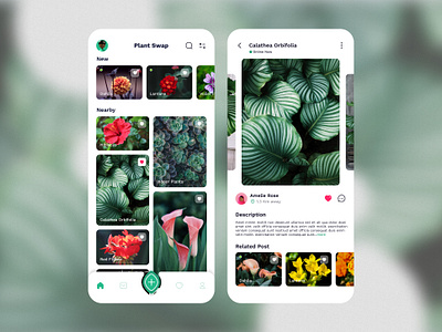 Plant Swap App garden gardening mobile mobile ui plant plantapp plants plantswapapp swap swapapp uidesign