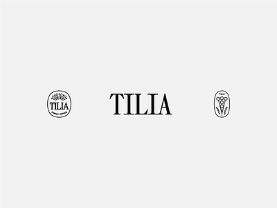 tilia