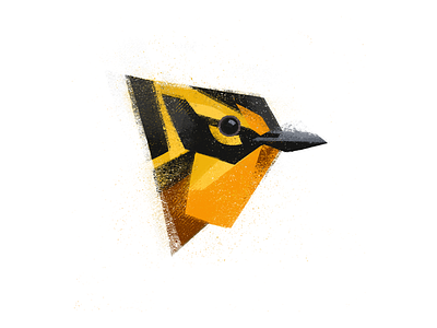 Blackburnian warbler animal art artwork bird bird drawing bird illustration brush drawing illustration nature noise texture photoshop setophaga setophaga fusca wacom warbler