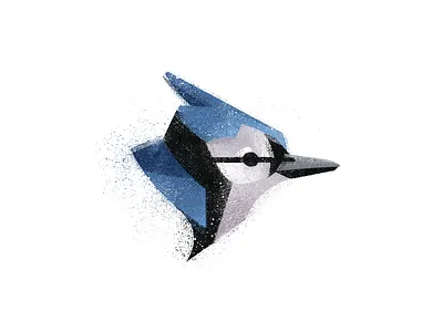 Blue jay animal bird bird illustration blue bluejay brush illustration nature noise noise texture photoshop