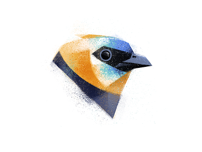 Golden-hooded tanager animal bird bird illustration birds brush illustration nature noise texture photoshop tanager texture wacom