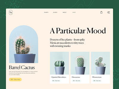 Plant Shop Website design design studio ecommerce gardening graphic design interaction interface nature plant shop plants shop page ui user experience ux web web design web marketing web ui website website design