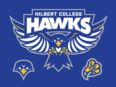 Hilbert College Athletics buffalo college logo college sports hawks hilbert logo rebrand redesign sports sports design sports identity sports logo