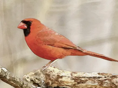 Watercolour Photoshop Action design graphic design