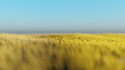 Country roads. 3d art 80s ambient b3d blender3d videogames