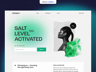 Fensea Salt - Webflow Project animation css design development front end halo lab interface nocode product scroll ui ux webflow website