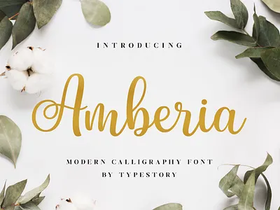 Amberia Modern Calligraphy