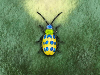 Letting go of Fear #3 bug colors fear illustration illustrator panton procreate ui vector yellow