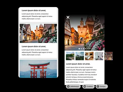 DailyUI 045 Info Card daily 100 challenge dailyui dailyuichallenge design designinspiration figma ui uidesign uiux webdesign
