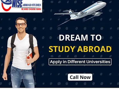 Overseas Education Consultant in Delhi branding web