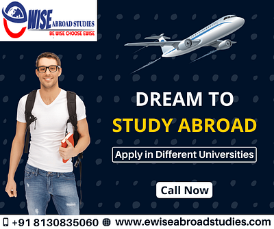 Overseas Education Consultant in Delhi branding web