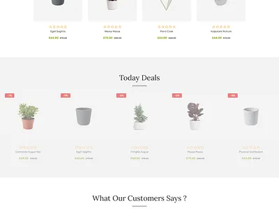 Plant and Flower Shop eCommerce HTML Template Lukani bootstrap4 flower shop online flowers garden html5 interior landscape gardener nursery plant shop plant store responsive tree shop trees plantation wood