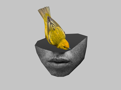 canary bird art art direction artwork blackandwhite canary collage collage art design face illustration portrait