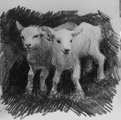 Lambs animal animals art artwork lambs lamp pencil pencil art pencil drawing pencil sketch