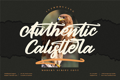 Authentic Calisttera - Modern Script Font app branding design icon illustration logo typography ui ux vector web