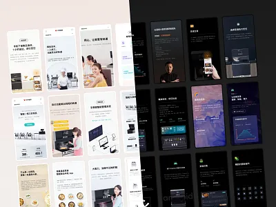 UTCook Website brand branding web web design website