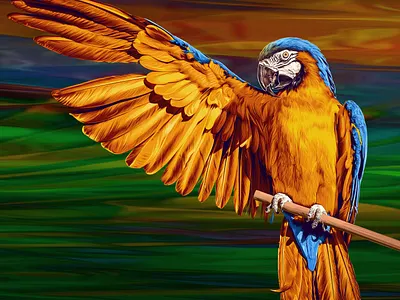 Macaw - Digital Painting abdelrahman taymour art artwork colorful drawing illustration painting taymour عبدالرحمن تيمور