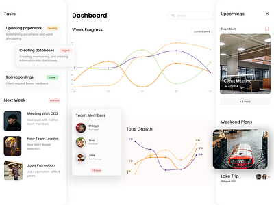 Daily task Dashboard branding dashboad dashboard ui illustrator look minimal typography ui ui design uiux ux design vector webdeisgn