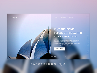 Travel UI Series - "Delhi" branding design illustration illustration art minimal ui ui design uiux designer uiuxdesign uxdesigns