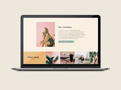 Hydra showit showit template web design website template