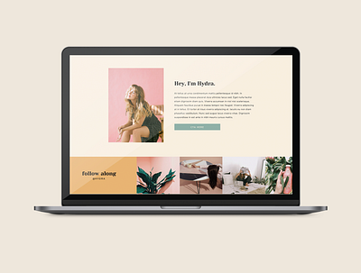 Hydra showit showit template web design website template