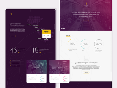 Transport Gender Lab IDB Bank design productdesign ui ux web