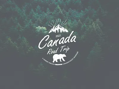 Vintage Bear Logo bear design logodesign vector vintage